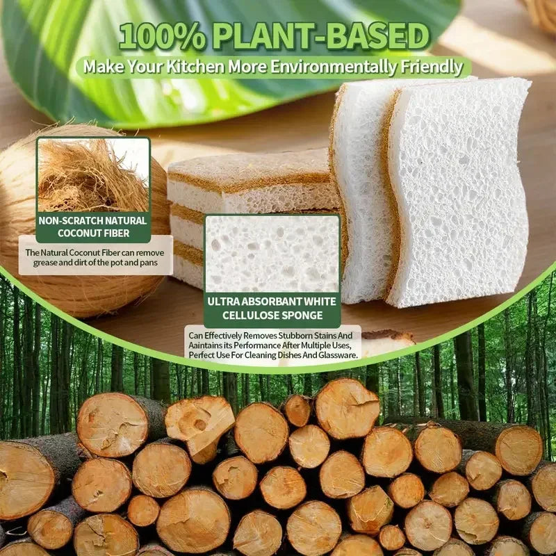 Natural Cellulose & Coconut Kitchen Sponge — Dish Scrubber Pack