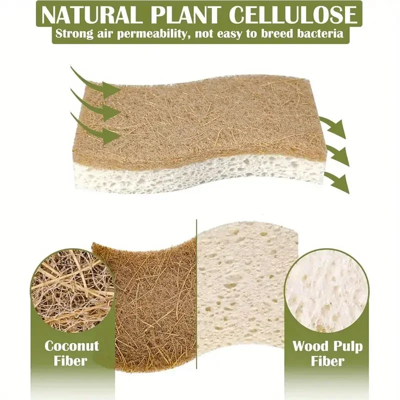 Natural Cellulose & Coconut Kitchen Sponge — Dish Scrubber Pack